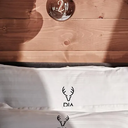 Dia Dağ evi Sunger